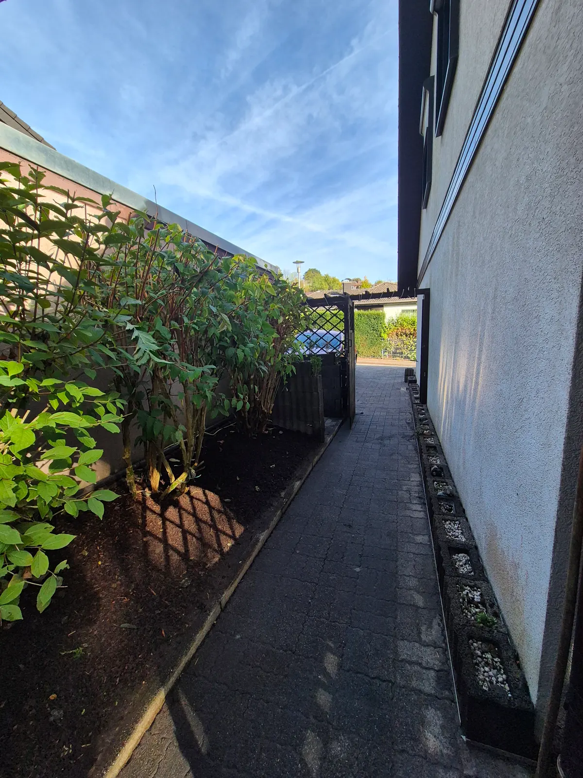 Gartenweg nach der Aufbereitung mit zurückgeschnittenen Sträuchern und freiem Durchgang