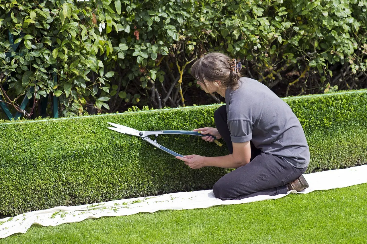 Gartenarbeit Lüdenscheid – Rasenpflege und Heckenschnitt durch Renovatore